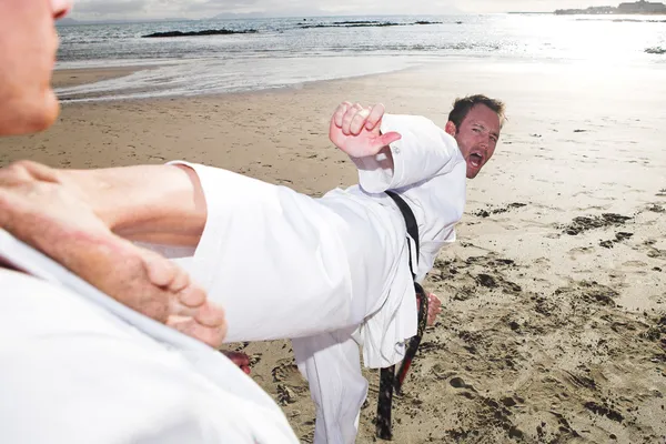 Young adult men practicing Karate on the beach