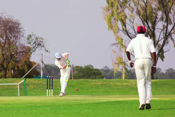 Cricketers playing