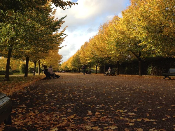 Beautiful autumn foliage in Regents Park in London