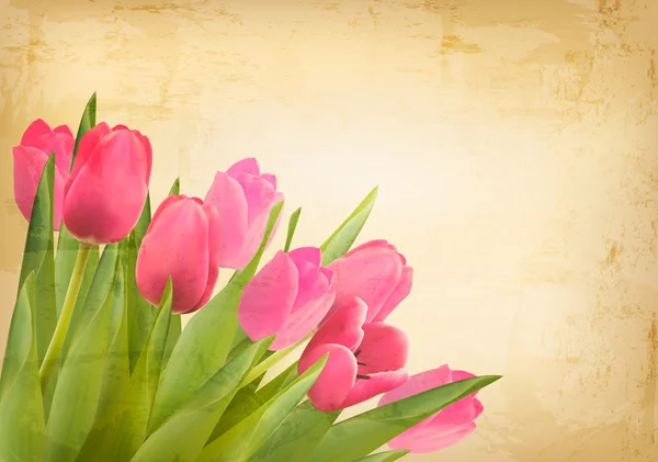 Valentine's day background. Beautiful tulip flowers on vintage t