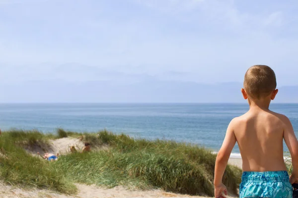 Boy overlooking the North Sea coastline
