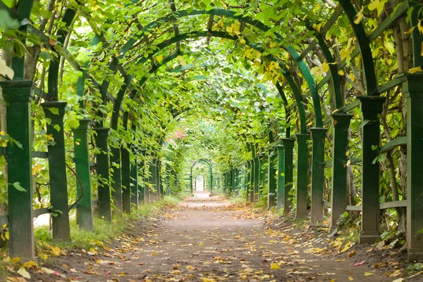 A garden tunnel in Peterhof palace, St Petersburg, Russia