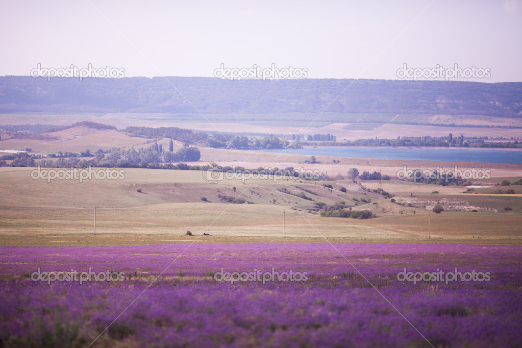   depositphotos_354206