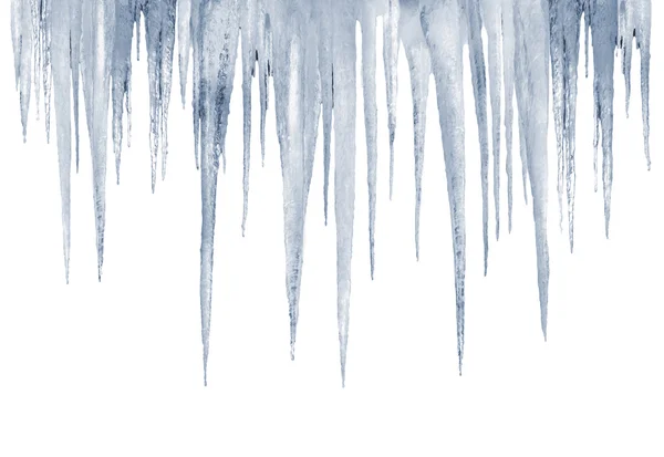 Many natural icicles on a white background