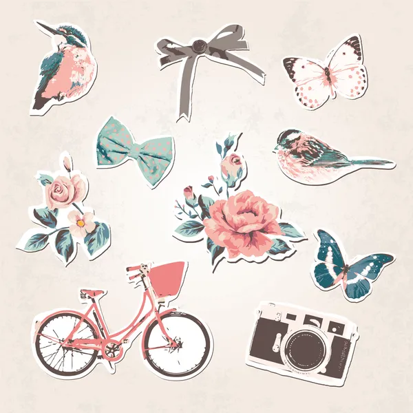 Vintage things set-birds,bows,flow ers,bike,camera,but terflies on grunge background