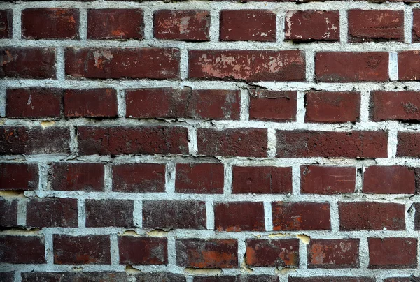 Red brick wall texture background. Square format