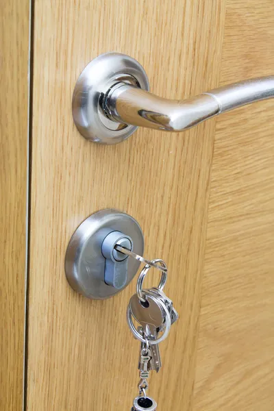 Door with lock and handle