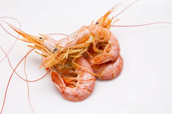 Tasty cooked shrimps