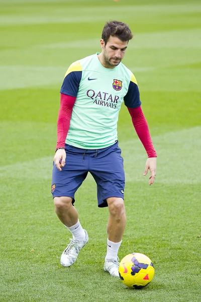 Fabregas at FC Barcelona training session