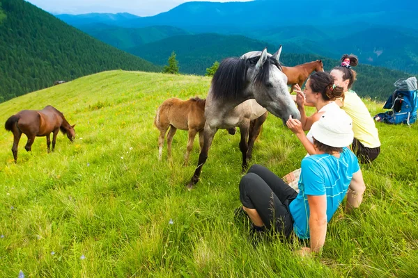 Tourists resting on the grass