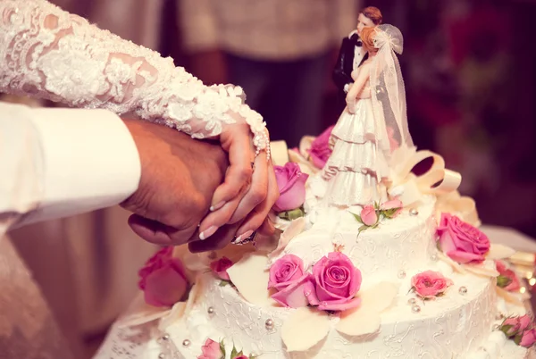 Newlywed cutting wedding cake