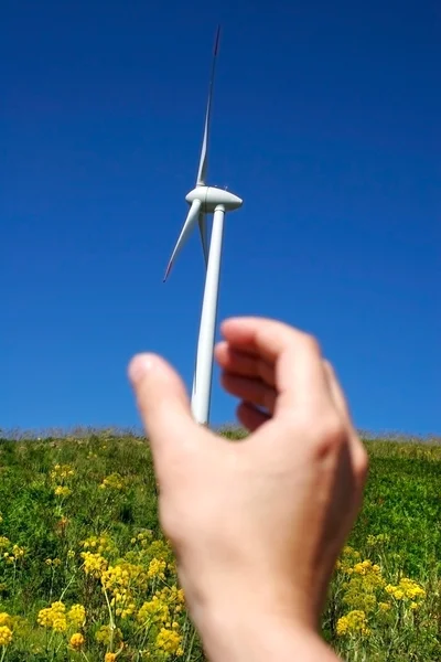 Wind energy flower