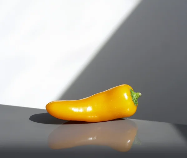 Stylish orange paprika pepper
