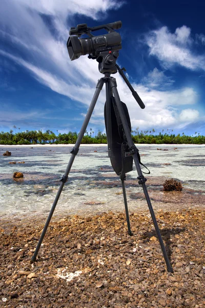 Professional video camera in a coral reef at low tide