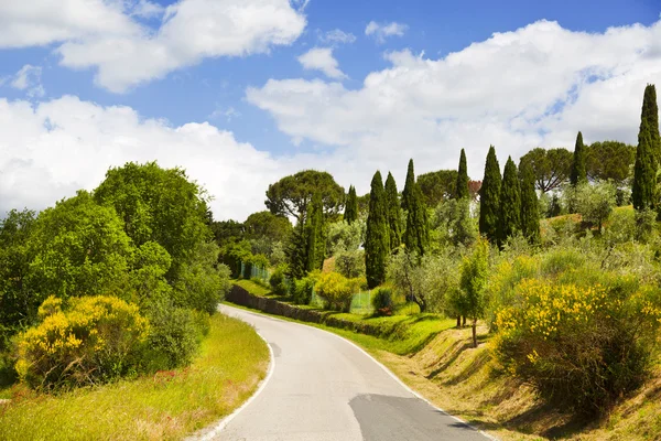 Italy. Tuscany. Rural landscape