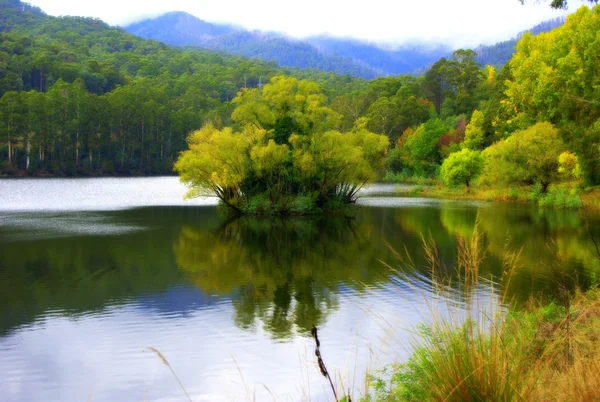 Lake Guy in australia with autumn colours