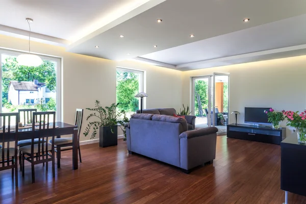 Bright space - living room interior