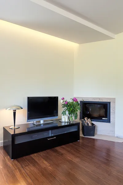 Bright space - tv and fireplace