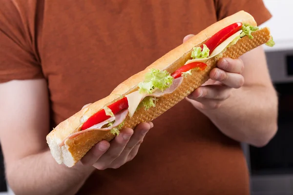 Healthy sandwich closeup