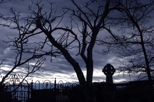 Creepy old cemetery with Gothic tombstone
