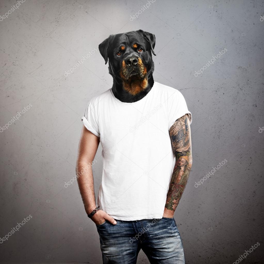 man with dog s head stock photo 169 kantver 48037299 man with dog s head stock photo 169 kantver 48037299
