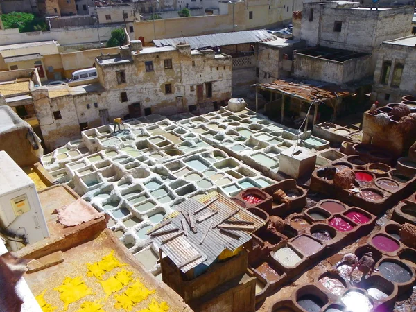 The colourful leather tanning of Fes, Morocco