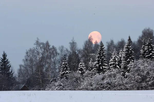 Winter landscape with a full moon