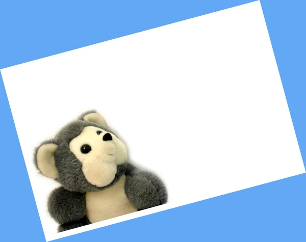 A soft gray teddy bear sitting in a blue frame