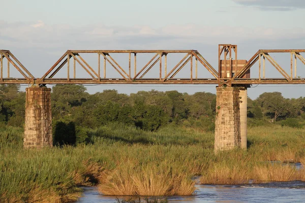 Old bridge over a river in Africa