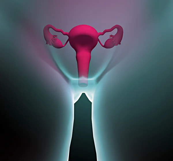 Human x-ray with pain in the uterus