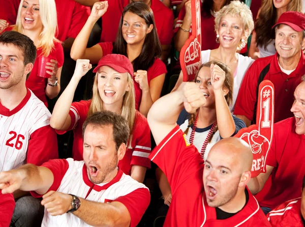 Fans: Crowd Excited About Winning Play — Stock Photo #25408641