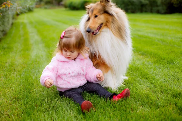 Faithful collie dog watching a small child.