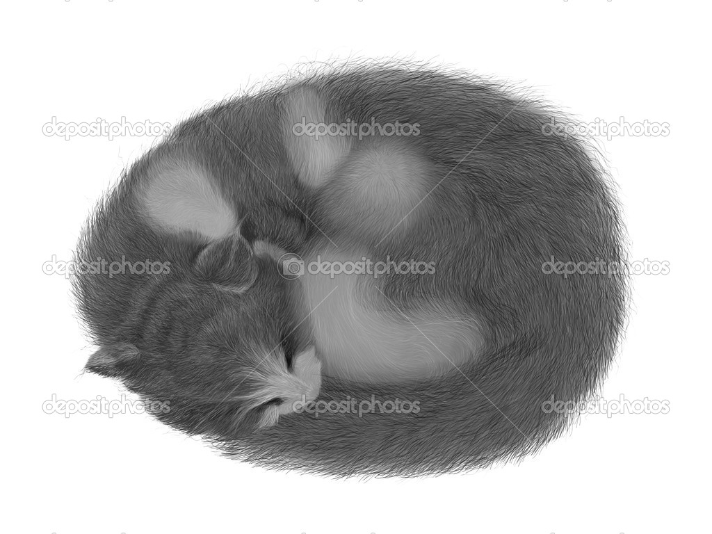 The sleeping cat curled up in a ball — Stock Photo © _vallav_ 25640819