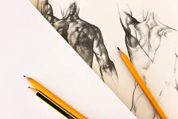 Human Body Anatomy Fine Art Drawing
