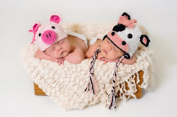 Sleeping fraternal twin newborn baby girls wearing crocheted pig and cow hats.
