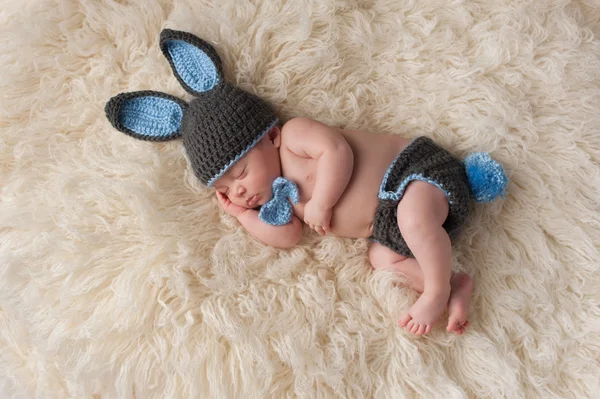 Newborn Baby in Bunny Rabbit Costume