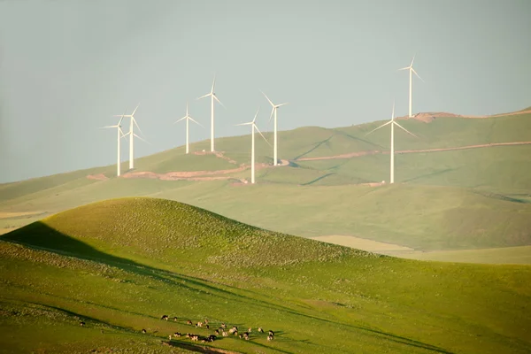 Inner Mongolia Hulunbeier Ergun wind farms
