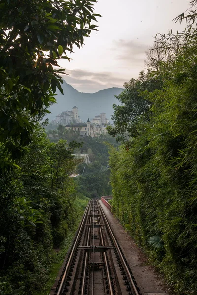 Shenzhen City, Guangdong Province, East Dameisha tea valley forest train railway