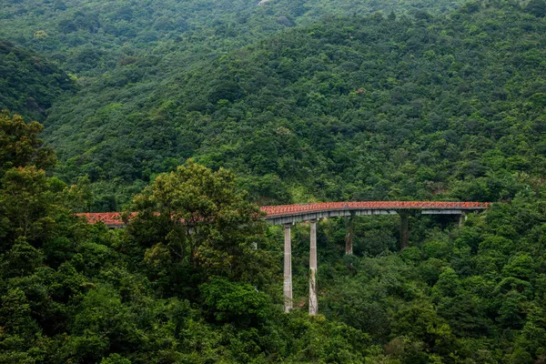 Shenzhen City, Guangdong Province, East Dameisha tea valley curved extension of the forests in the mountains train railway