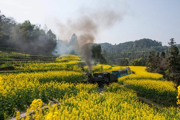 Traveling in Leshan City, Sichuan Qianwei Kayo small train station canola flower Bee Rock to the little train between