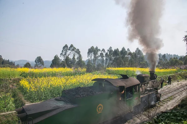 Traveling in Leshan City, Sichuan Qianwei Kayo train rapeseed dam little train between stations