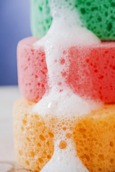 Sponge and foam to wash