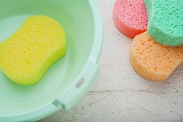Sponge and bucket to wash