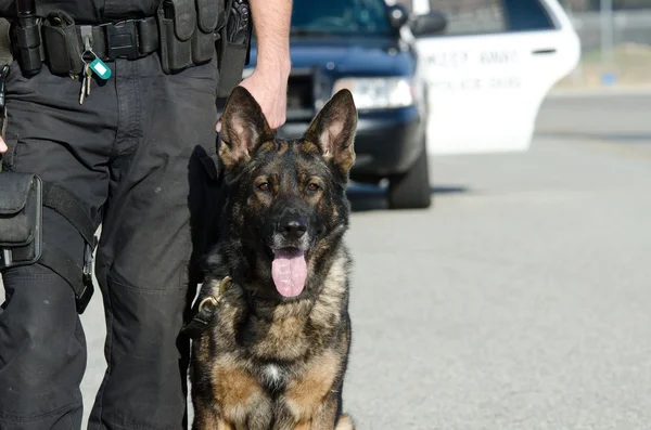 Police Dog