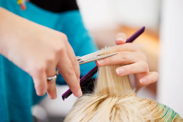 Hair Dresser Cutting Client's Hair In Salon