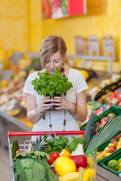 Woman With Shopping Cart Smelling Basil Plant In Grocery Store