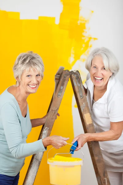 Senior Women Painting Wall Together