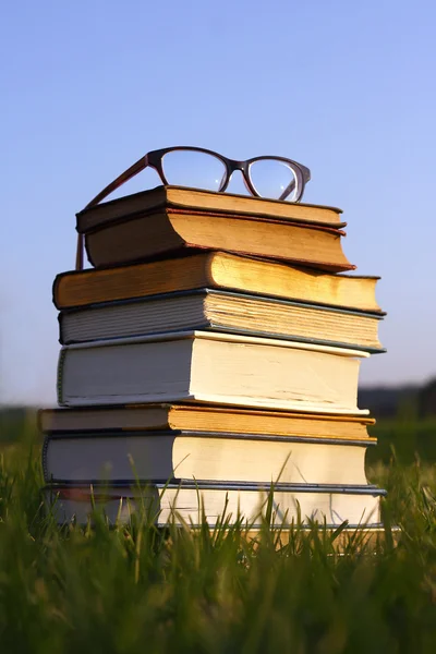 Glasses on Stack of Books Outside