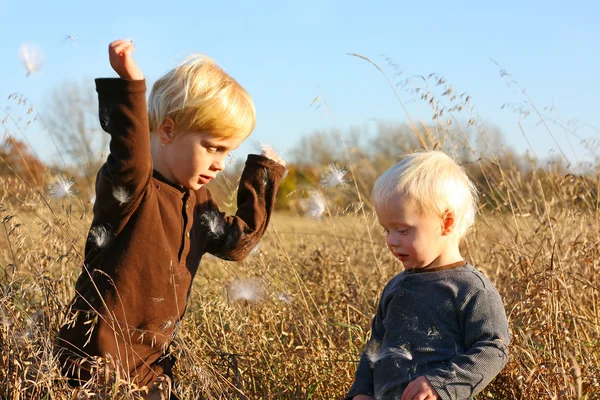 Young Children Playing Outside in Autumn