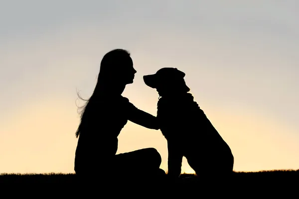 Woman Sitting Outside Petting Dog Silhouette